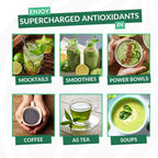 Amla Green: 20x Concentrated Amla Powder + Decaf Green Tea | Organic, Vegan, 90 Servings