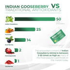 Amla Green: 20x Concentrated Amla Powder + Decaf Green Tea | Organic, Vegan, 90 Servings