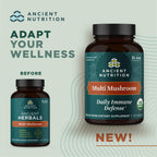 Ancient Nutrition Organic Multi Mushroom Immune Support - 60 Count