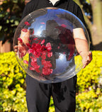 Aredpoook 36-Inch Bobo Balloons – 12-Pack Clear Bubble Balloons