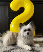 Argthjy 40-Inch Number Balloons – Yellow Foil Numeral 0 for Birthdays, Anniversaries, Baby Showers