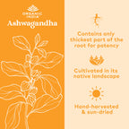 ORGANIC INDIA Ashwagandha Capsules - Organic Ashwagandha Supplement - Vegan, Gluten-Free, Kosher, Non-GMO - 180 Capsules