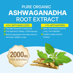 Ashwagandha Gummies 2000mg – Sugar Free, Vegan, Organic | D3, B12, Turmeric – Mixed Berry, 120 Count