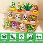 Asoulin 24Pcs Flowers & Succulents Building Blocks Valentine Cards for Kids – Party Favors & Classroom Prizes