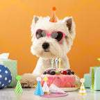 Atiloy 10-Pcs Colorful Mini Party Hats for Stuffed Animals, Pets & Baby