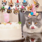 Atiloy Cat Face Birthday Banner Garland – Cute Cat Theme Party Decor for Kids