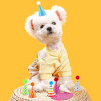 Atiloy 10-Pcs Colorful Mini Party Hats for Stuffed Animals, Pets & Baby