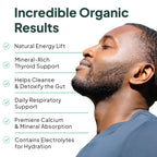 Organics Ocean Wild Meeresalgen Kapseln – 60 Kapseln | Bio Irisches Moos, Blasentang, Chlorella & Vitamin D3