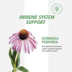 AVogel Echinaforce Junior Chewable Tabs – Organic Echinacea for Kids | Immune Support | 90 Tabs