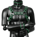 Harness, Cuff, Collar Bundle Green