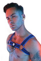 Breedwell Daddys Favourite Bulldog Harness Blue