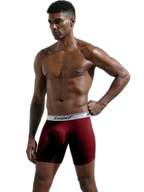 2 Pack Men’s Mesh Separate Pouch Boxers Briefs