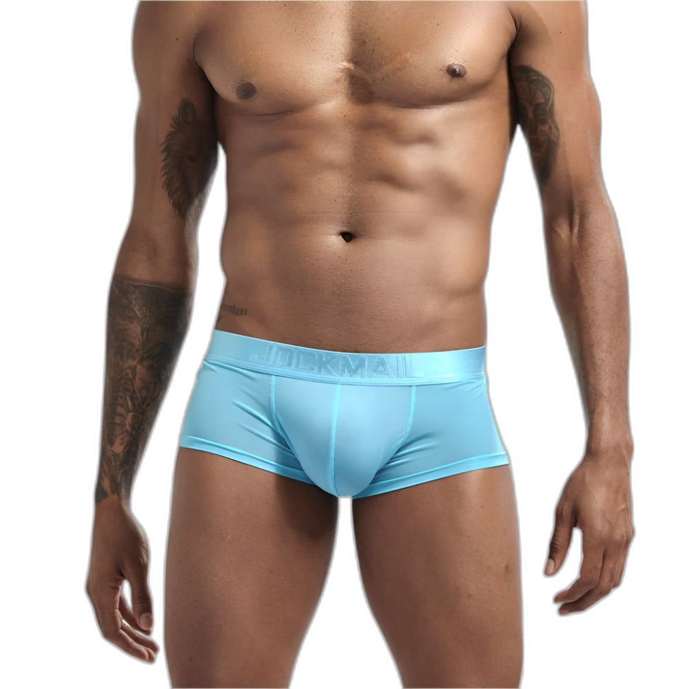 Transparent Silky Boxer Briefs