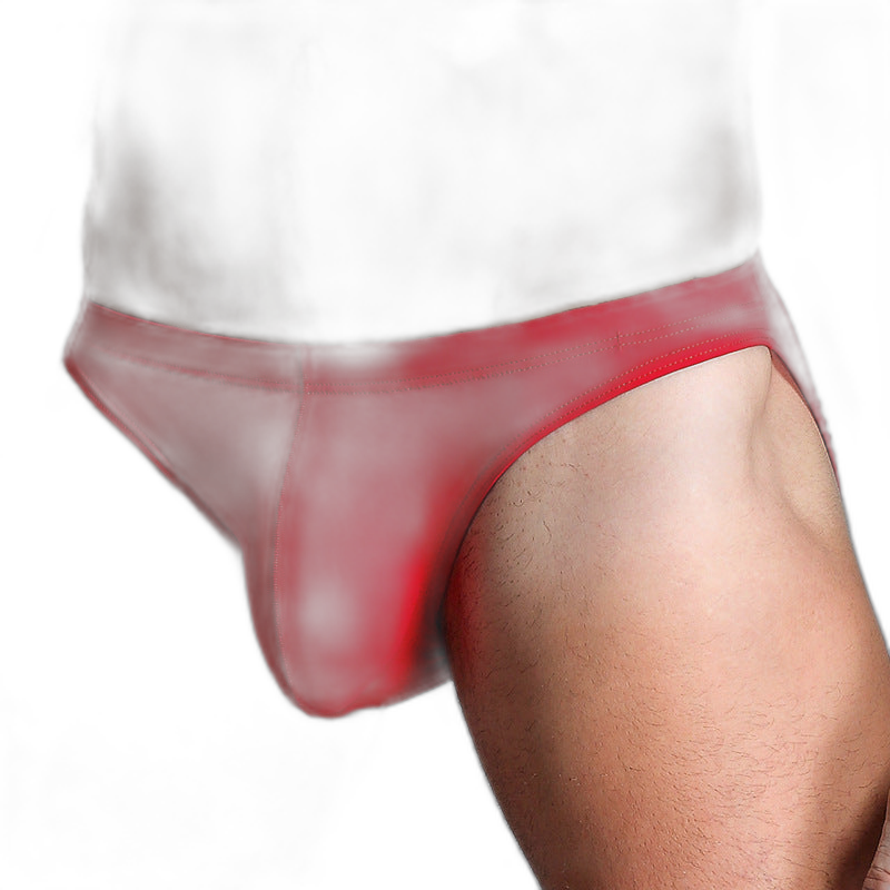 Essentials Ice Silk Briefs