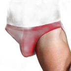 Essentials Ice Silk Briefs