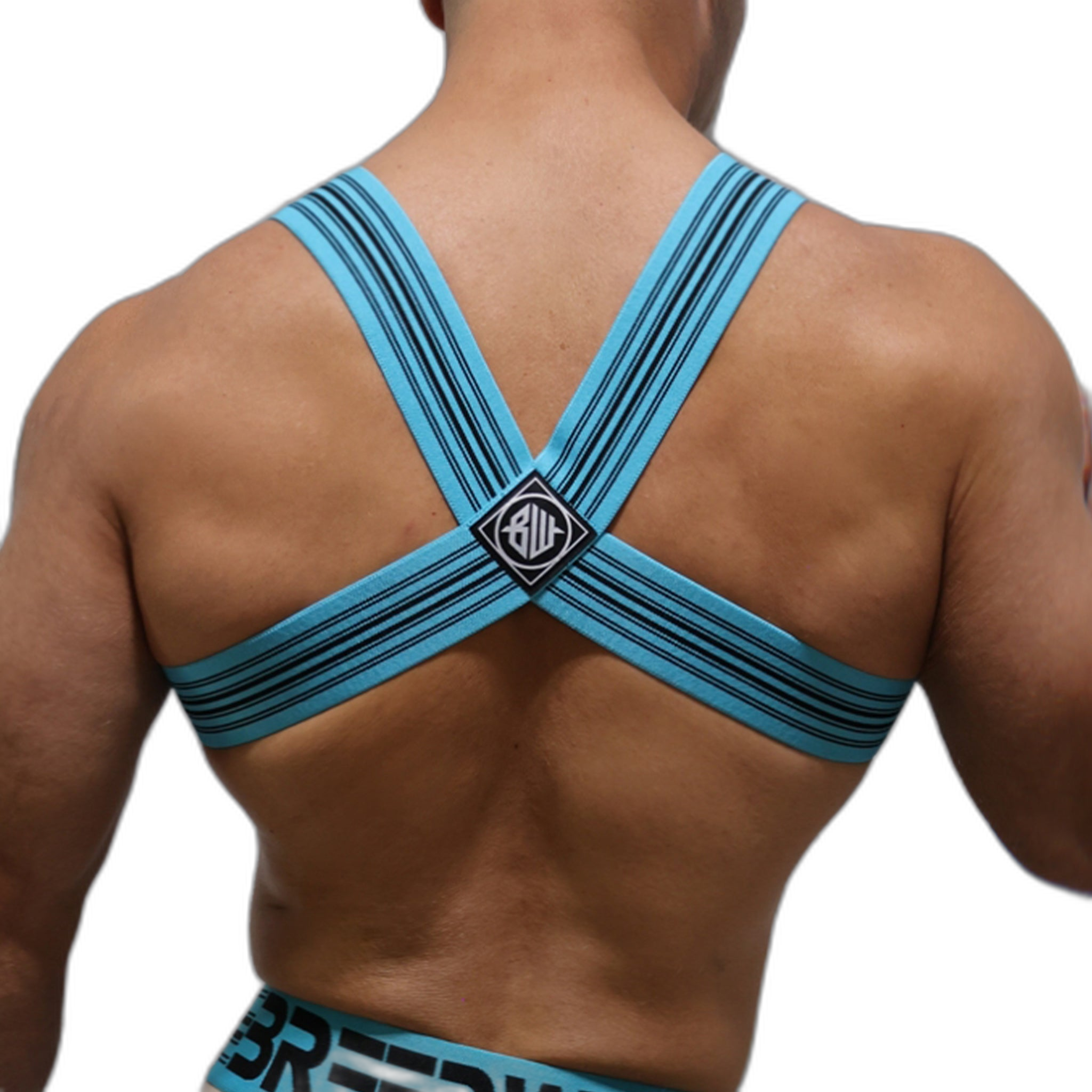 Breedwell Cumdump Bulldog Harness Aqua Blue