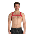 Prowler RED Sports Harness Red