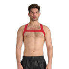 Prowler RED Sports Harness Red