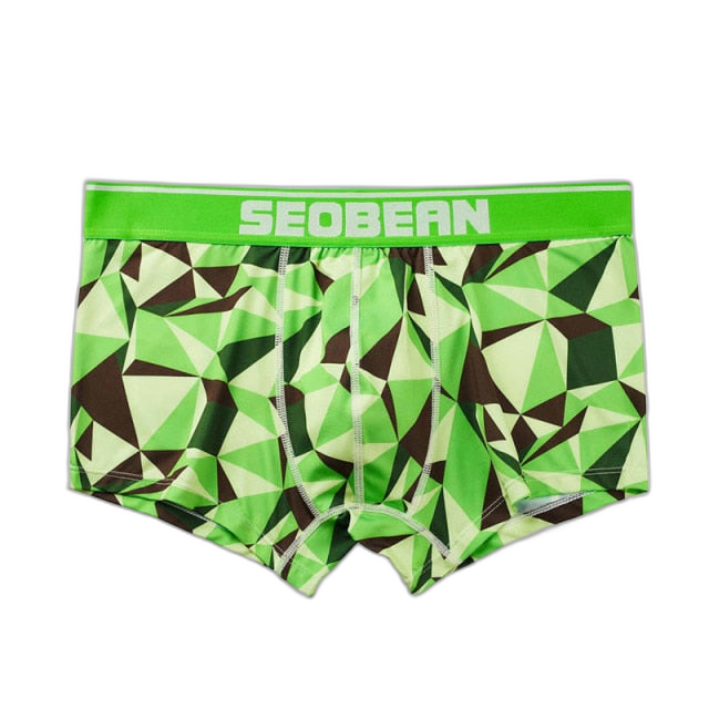 Seobean Geometric Boxers