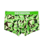 Seobean Geometric Boxers