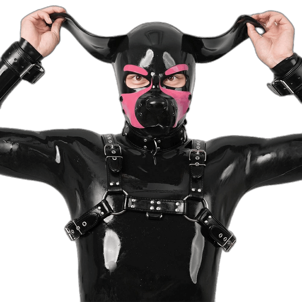 Furrjoi Silicone Beagle Hood Pink