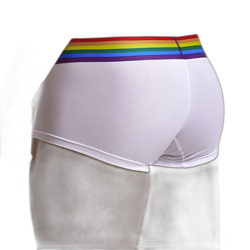 Rainbow Boxer Briefs