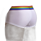 Rainbow Boxer Briefs