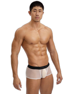 2-Pack Men's Breathable Mesh Ice Silk U-convex Low Waist Boxer Briefs