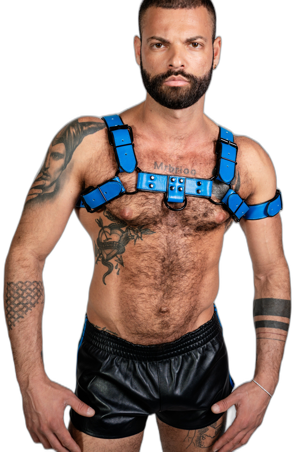 ruff GEAR Bold Leather Bulldog Harness Blue