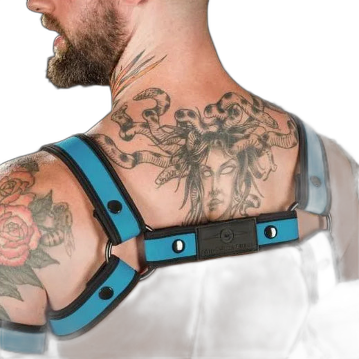 Mr S Leather Neoprene Bulldog Harness | Aqua