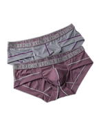 2 Pack Men's Ice-Silk Stretch Sports Briefs with 3D Pouch