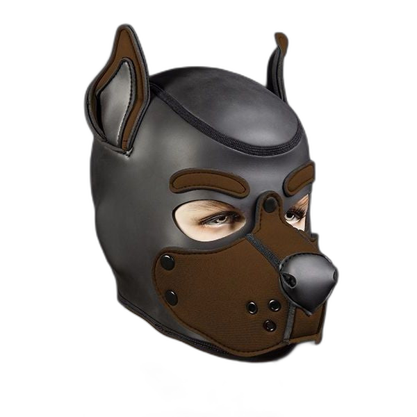 Mr S Leather Neoprene K9 Puppy Hood | Black/Brown