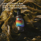 Bathing Culture Bio-Shampoo Kelp Forest – Natürliche, vegane Kopfhautpflege (237 ml)