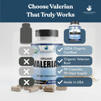 American Standard Organic Valerian – 90 Capsules, Pack of 2 | Vegan, Gluten Free, Non-GMO
