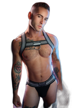 Breedwell Cumdump Bulldog Harness Black
