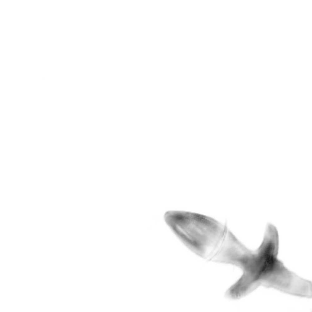 Zoe - Vibrating Butt Plug - Puppy Tail Butt Plug - 10 Frequency Vibrating Anal Toy