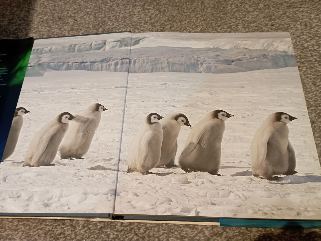 BOOK : FROZEN PLANET (ripped cover)