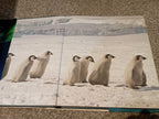BOOK : FROZEN PLANET (ripped cover)