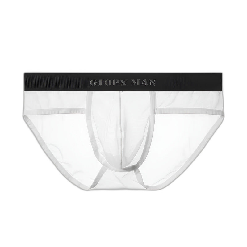 GX Ice Silk Briefs