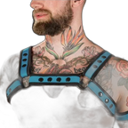 Mr S Leather Neoprene Bulldog Harness | Aqua