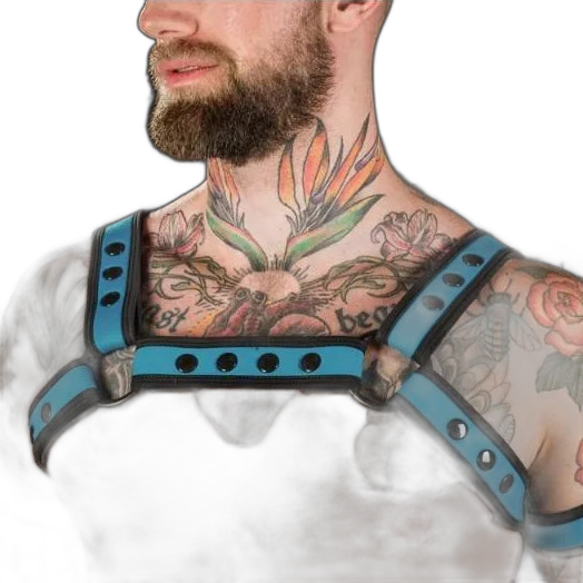Mr S Leather Neoprene Bulldog Harness | Aqua