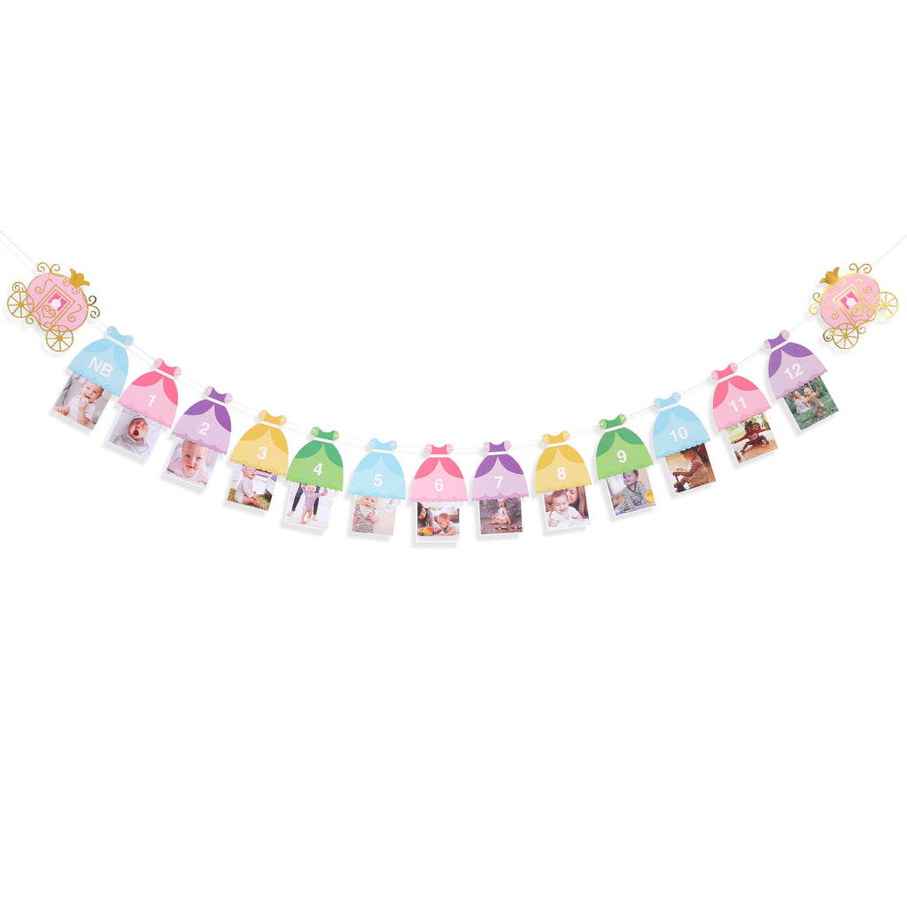 BEADED Princess 12 Month Photo Banner – First Birthday Decorations & Photo Prop