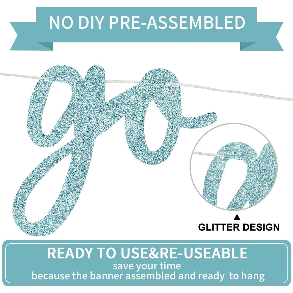 BEISHIDA Go Shawty Birthday Banner 11.4ft Baby Blue – Pre-Strung Glitter Hip Hop Theme