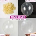 Bezente Clear Balloons 12in - 100 Pack Latex Balloons for Wedding & Party Decor