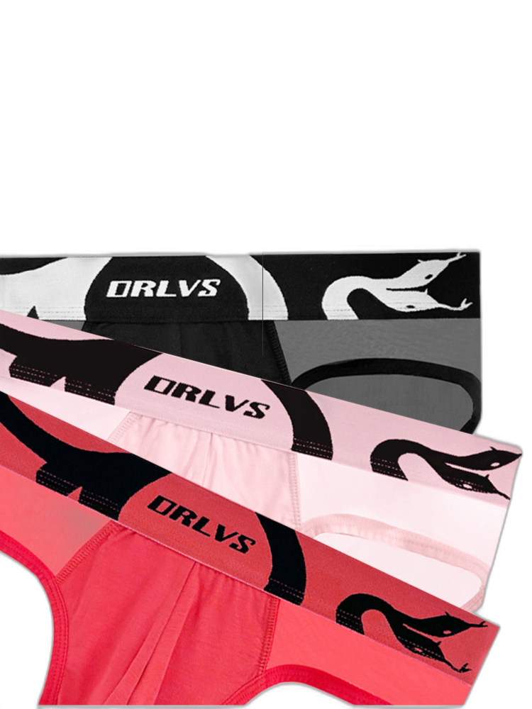 Men's Mesh Sport Briefs with Contoured Pouch & Ventilation