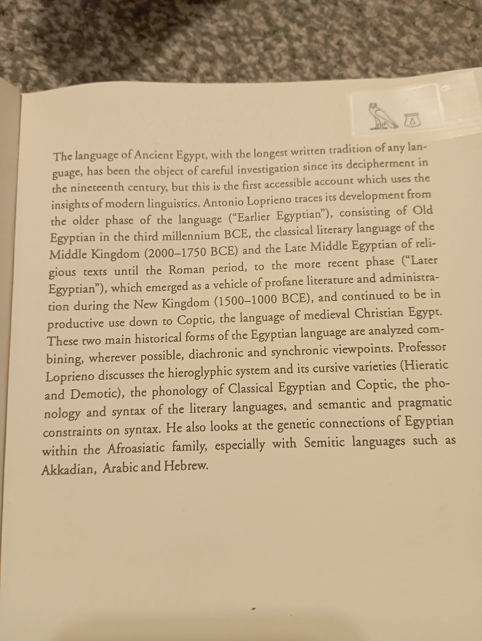 BOOK : ANCIENT EGYPTIAN by ANTONIO LOPRIENO