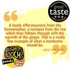 Organic Ginger Kombucha (12 or 24 Pack)