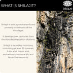 Blisque Shilajit Resin - Organic Himalayan Supplement for Women’s Health | 60g