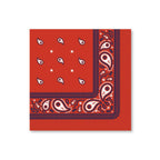 Bonjour Fete THOMAS & FRIENDS Large Red Bandana Napkins – 24 Pack | Officially Licensed
