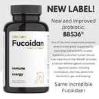Brimmune Fucoidan 500 mg - Organic Patagonia, BB536 Probiotics | Immune Support (60 capsules)